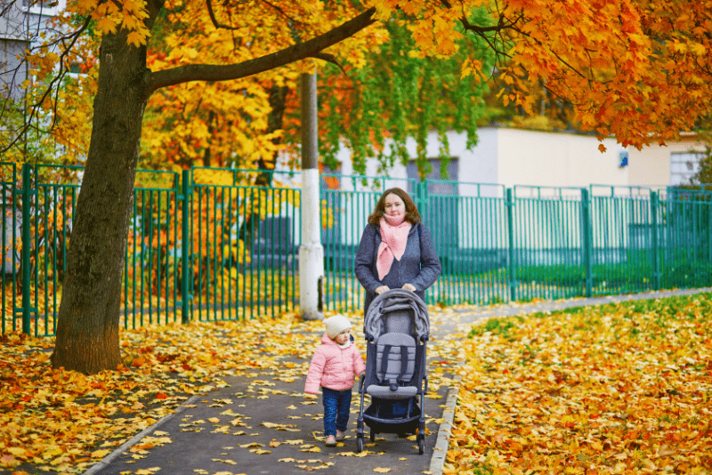 Mom pushing a stroller with toddler walking beside it during the fall