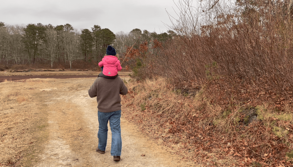 Man with Child on Shoulders Walking Around Cranberry Bog.