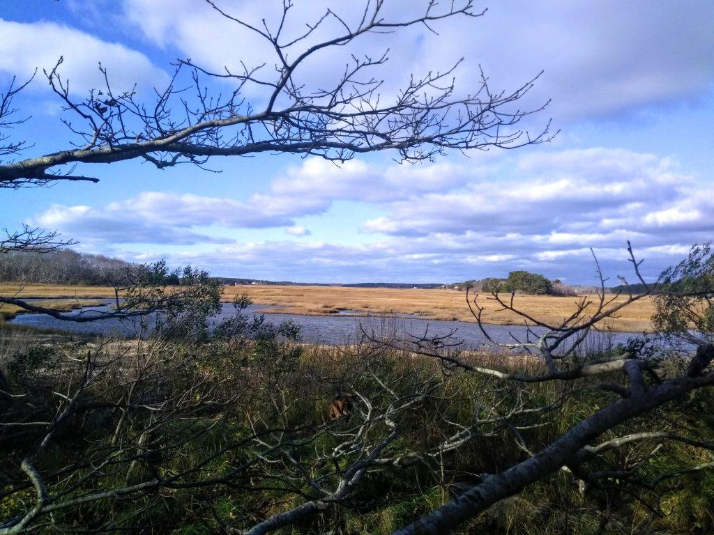 Blue sky with clouds with a stream and trees, mass audubon wellfleet bay wildlife sanctuary
