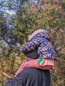 toddler on the shoulders of her grandfather, sylvan gardens chatham, photo courtesy of Danielle Kempe